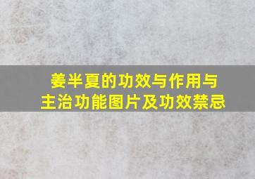 姜半夏的功效与作用与主治功能图片及功效禁忌