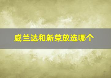 威兰达和新荣放选哪个