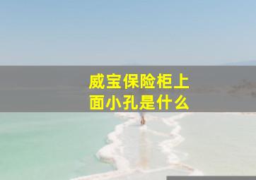 威宝保险柜上面小孔是什么