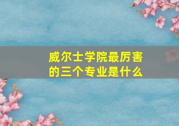 威尔士学院最厉害的三个专业是什么