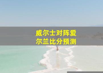 威尔士对阵爱尔兰比分预测