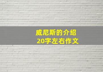 威尼斯的介绍20字左右作文