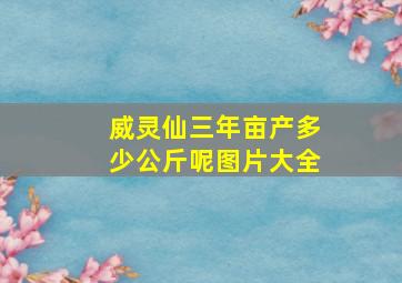 威灵仙三年亩产多少公斤呢图片大全