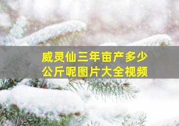 威灵仙三年亩产多少公斤呢图片大全视频