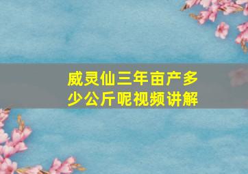 威灵仙三年亩产多少公斤呢视频讲解