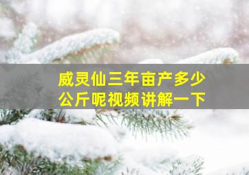 威灵仙三年亩产多少公斤呢视频讲解一下