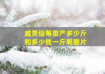 威灵仙每亩产多少斤和多少钱一斤呢图片