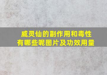 威灵仙的副作用和毒性有哪些呢图片及功效用量