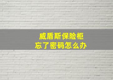 威盾斯保险柜忘了密码怎么办