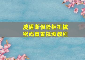 威盾斯保险柜机械密码重置视频教程