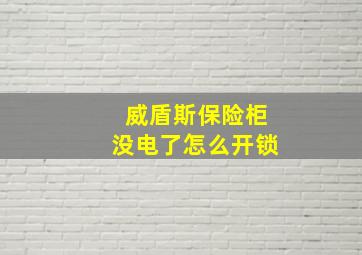 威盾斯保险柜没电了怎么开锁