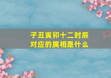 子丑寅卯十二时辰对应的属相是什么