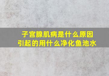 子宫腺肌病是什么原因引起的用什么净化鱼池水