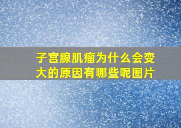 子宫腺肌瘤为什么会变大的原因有哪些呢图片