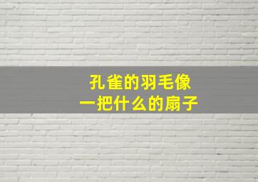 孔雀的羽毛像一把什么的扇子