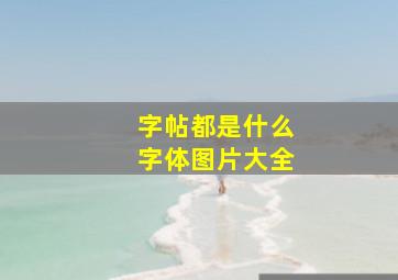 字帖都是什么字体图片大全