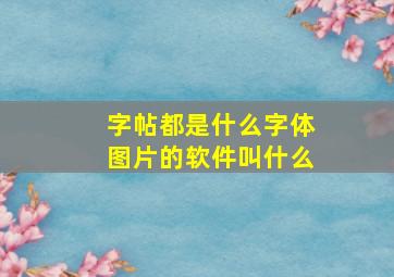 字帖都是什么字体图片的软件叫什么