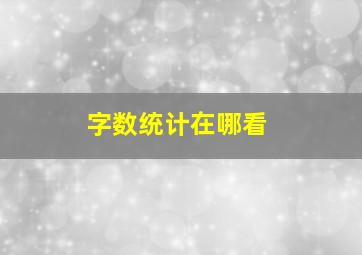 字数统计在哪看