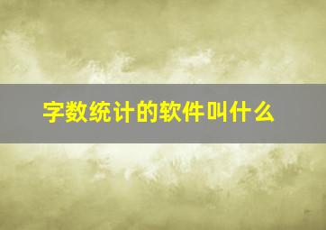 字数统计的软件叫什么