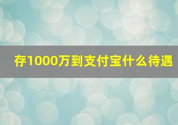 存1000万到支付宝什么待遇