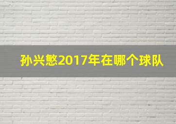 孙兴慜2017年在哪个球队