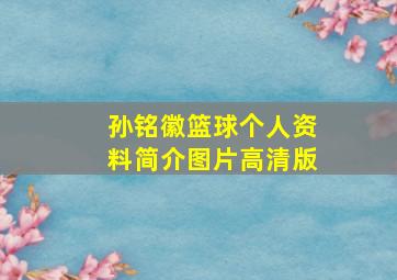 孙铭徽篮球个人资料简介图片高清版