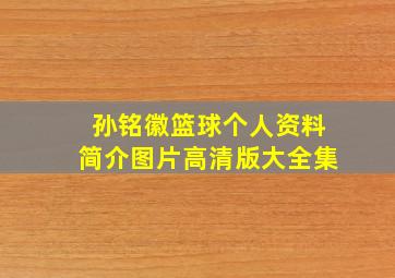 孙铭徽篮球个人资料简介图片高清版大全集