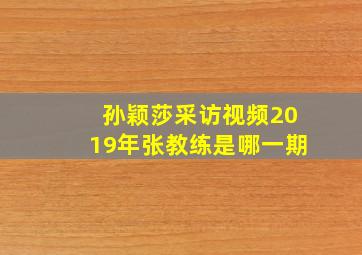 孙颖莎采访视频2019年张教练是哪一期