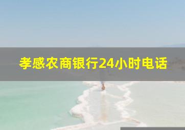 孝感农商银行24小时电话