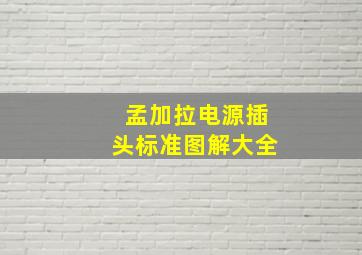 孟加拉电源插头标准图解大全