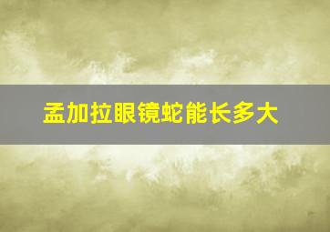 孟加拉眼镜蛇能长多大