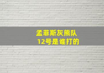 孟菲斯灰熊队12号是谁打的