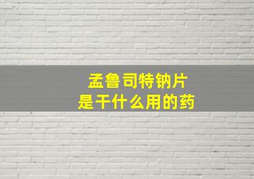 孟鲁司特钠片是干什么用的药