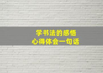 学书法的感悟心得体会一句话