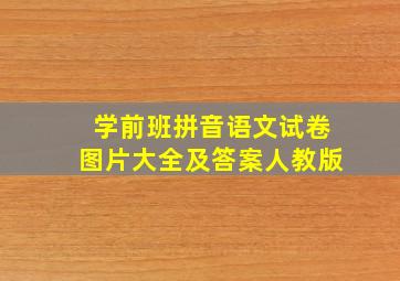 学前班拼音语文试卷图片大全及答案人教版