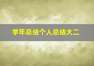 学年总结个人总结大二