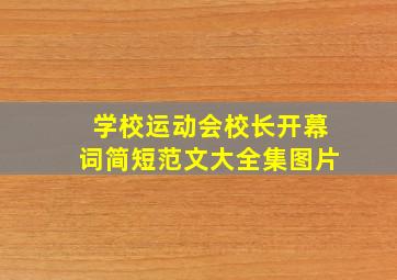 学校运动会校长开幕词简短范文大全集图片