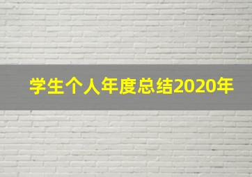 学生个人年度总结2020年