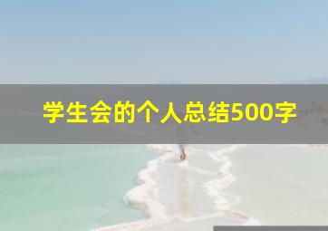 学生会的个人总结500字