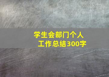 学生会部门个人工作总结300字