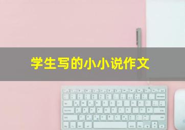 学生写的小小说作文