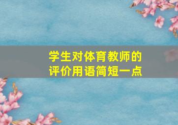 学生对体育教师的评价用语简短一点