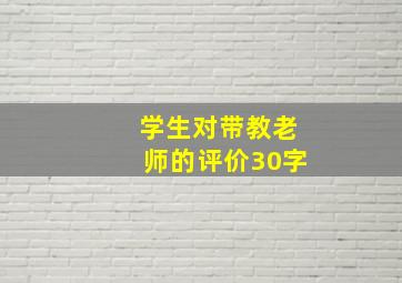 学生对带教老师的评价30字