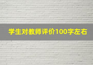 学生对教师评价100字左右