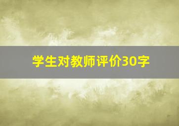 学生对教师评价30字