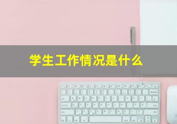 学生工作情况是什么