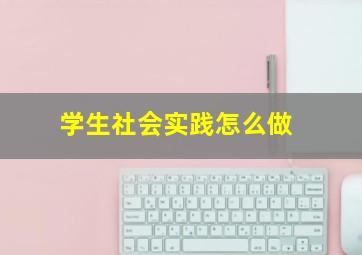 学生社会实践怎么做