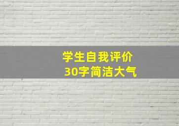 学生自我评价30字简洁大气