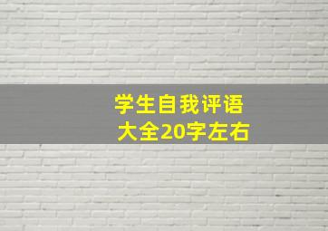 学生自我评语大全20字左右