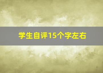 学生自评15个字左右